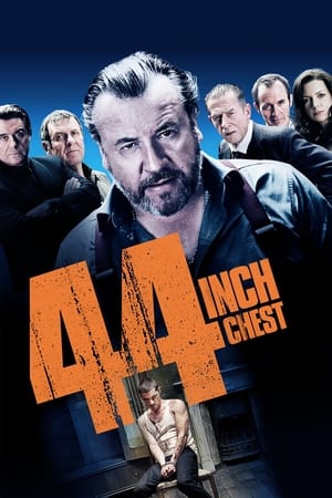 44 colių krūtinė