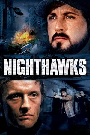 Nakties paukščiai