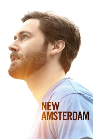 Naujasis Amsterdamas 4 sezonas