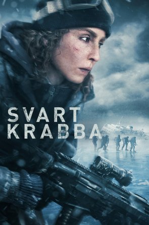 Juodasis krabas